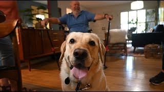 A Round of A-PAWS for our Clients, Volunteers & Supporters
