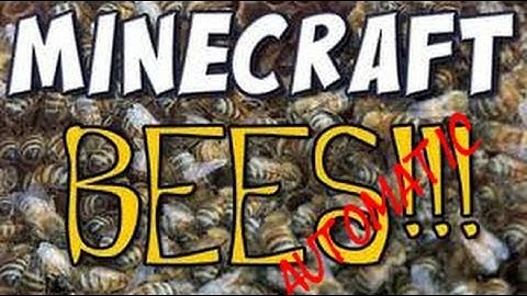 Feed the beast - how to make an automated bee farm