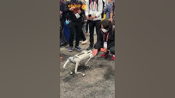 Meet the Unitree Go1 robotic pet dog as seen at CES 2023