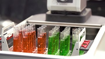 ANALYTICA 2018 | JULABO