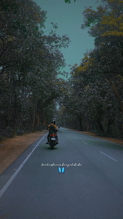 Chanda chamke ❤️ || instrumental music status video #shorts #shortvideo #shortsfeed #viral #reels