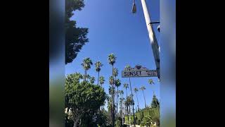 Download Lagu kickin’ back - mila j [sped up] MP3