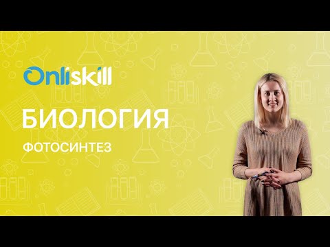 БИОЛОГИЯ 6 класс: Фотосинтез