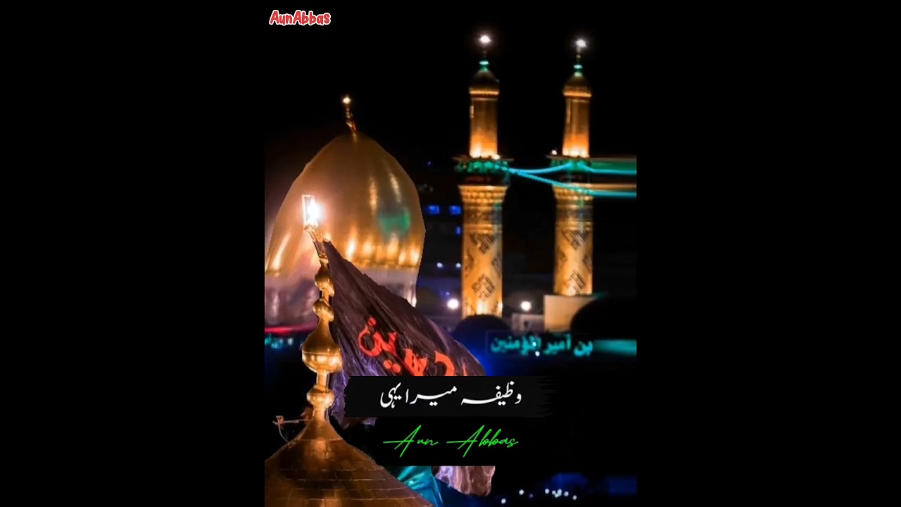 Share Ali Na De | علی نہ دے | AunAbbas shorts 💯