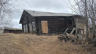 Жизнь в деревне. Спасаем саженцы от мороза. Ждём вторую волну гусей. Заморозки отступают.