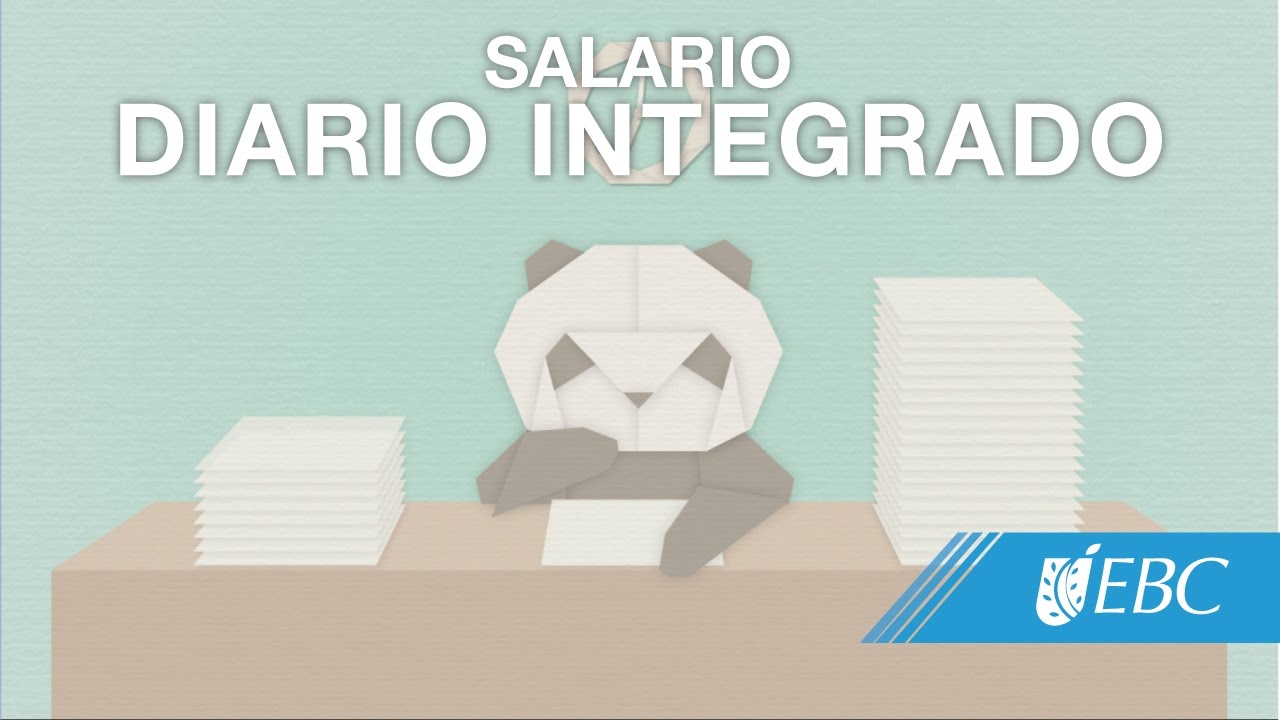 ¿Qué es el Salario Diario Integrado? - YouTube