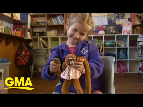 Australian Girl Reunited With Toy Monkey After Losing It At Buckingham Palace L GMA Digital