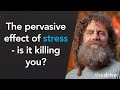 #51 – Robert Sapolsky, Ph.D.: The pervasive effect of stress – is it killing you?
