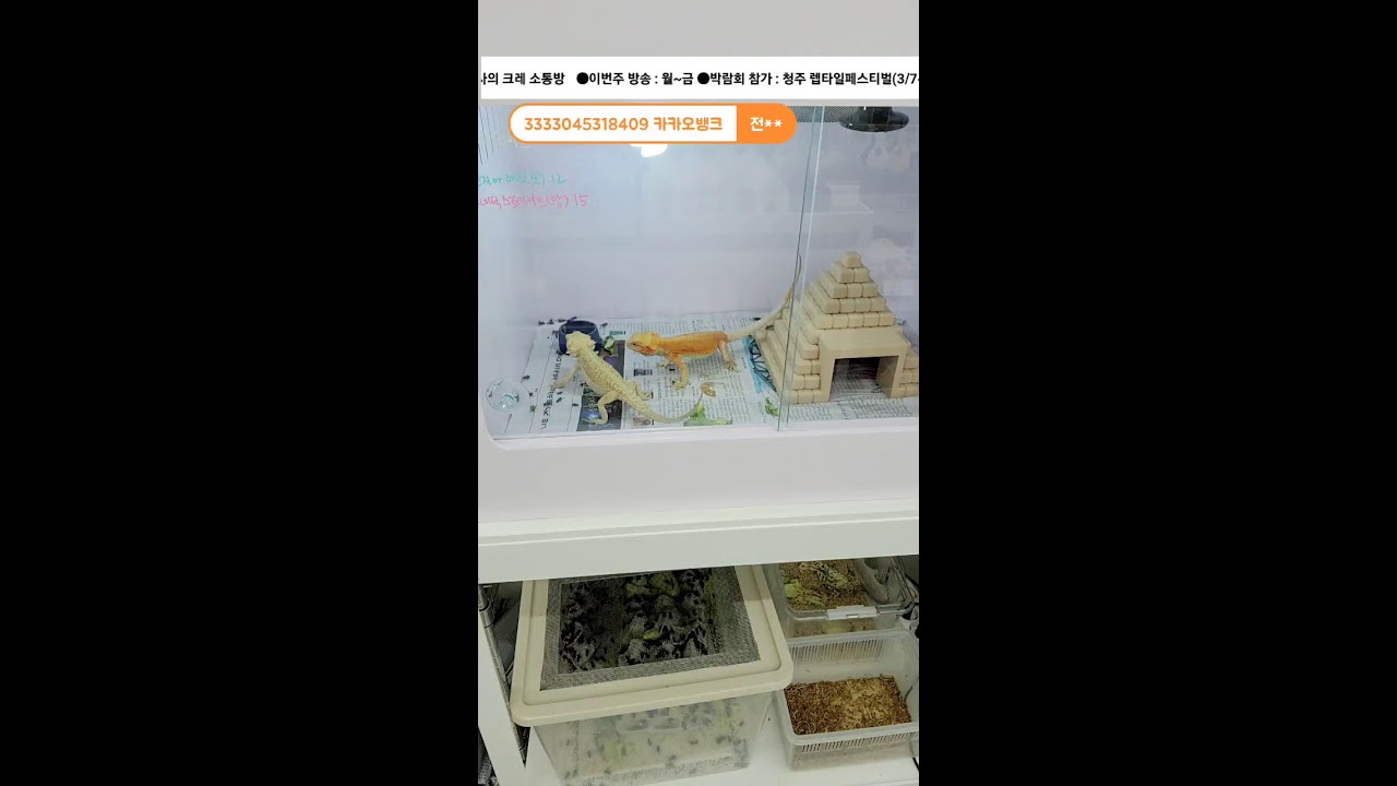 20260225 샵구석 크레 피딩