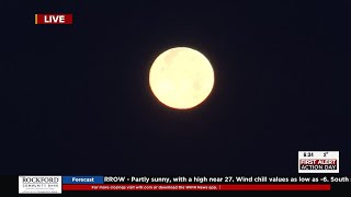 Celebrity Arctic air in place today Net Worth