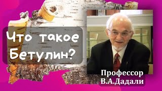 Что такое бетулин? Описание. Свойства. Применение. - Лекция В.А.Дадали