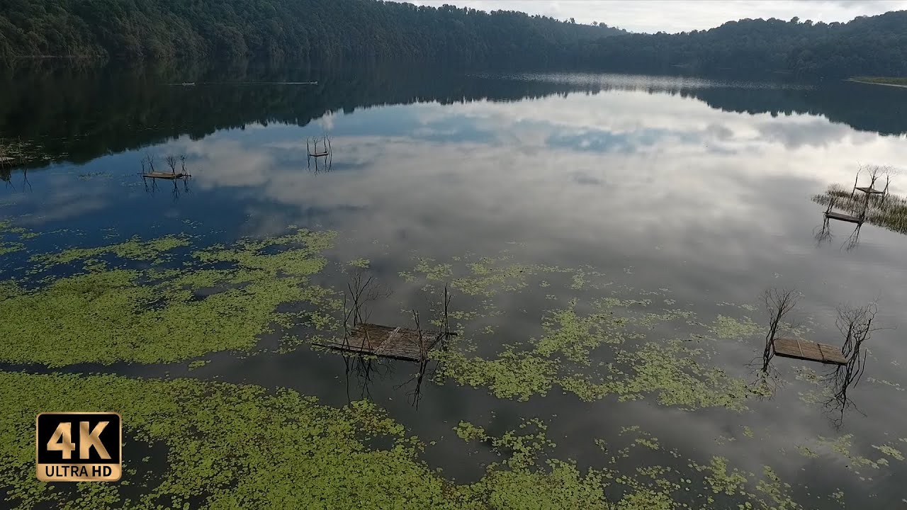 4K Tamblingan Lake Bali - Morning Ambience