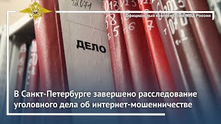 Ирина Волк: В Санкт-Петербурге завершено расследование уголовного дела об интернет-мошенничестве