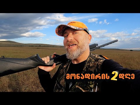 ნადირობა მწყერზე და გარეულ მტრედზე / მონადირის 2 დღე