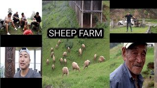 My frist vlog on a trip way to poilwa village the one and only sheep farm in Nagaland Peren District