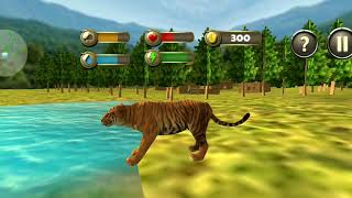 Wild Tiger Survival Simulator || Tiger VS Bear || Android Games FHD 🎮🎮 screenshot 3