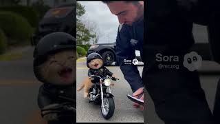 😱🤯I saw a cat riding a motorcycle.