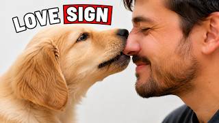 10 Signs Your Dog Considers You Their Parent