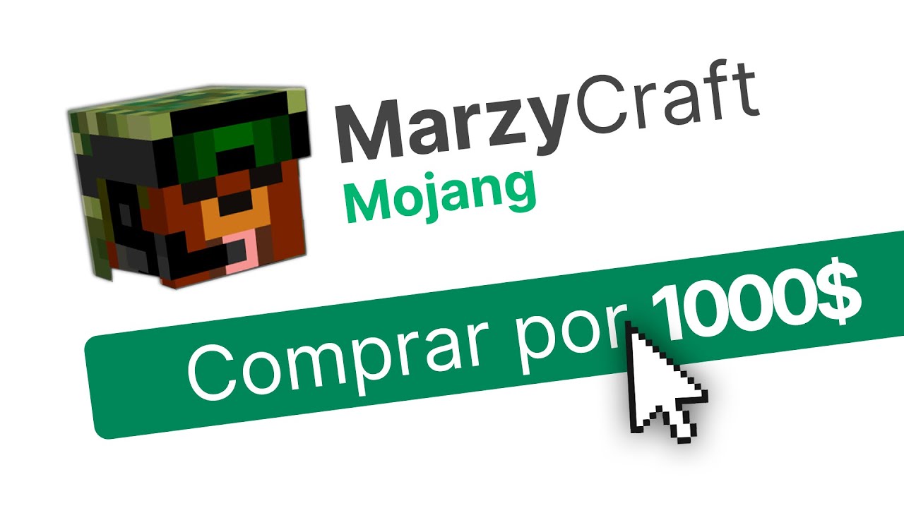 He Comprado este Servidor de Minecraft a un Programador Profesional