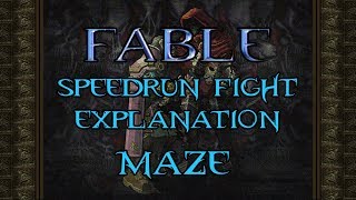 Fable Speedrun Fight Explanation - Maze