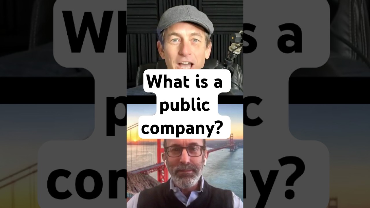 What is a public company?