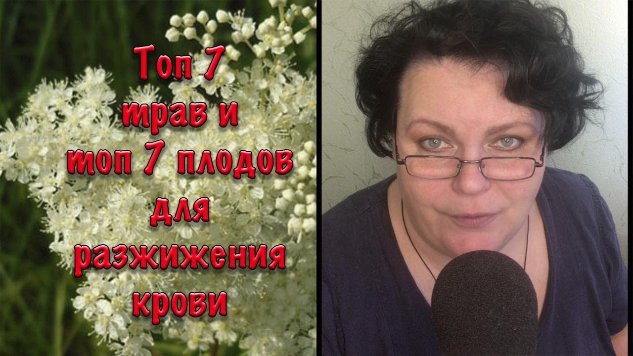🌿Топ 7 трав и 🫐Топ 7 плодов для разжижения крови