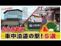 【初心者歓迎】本当に行って良かった車中泊のできるスポット関東編5選～車中泊初心者のペット連れ夫婦のリアルな感想をお届けします～【車中泊】