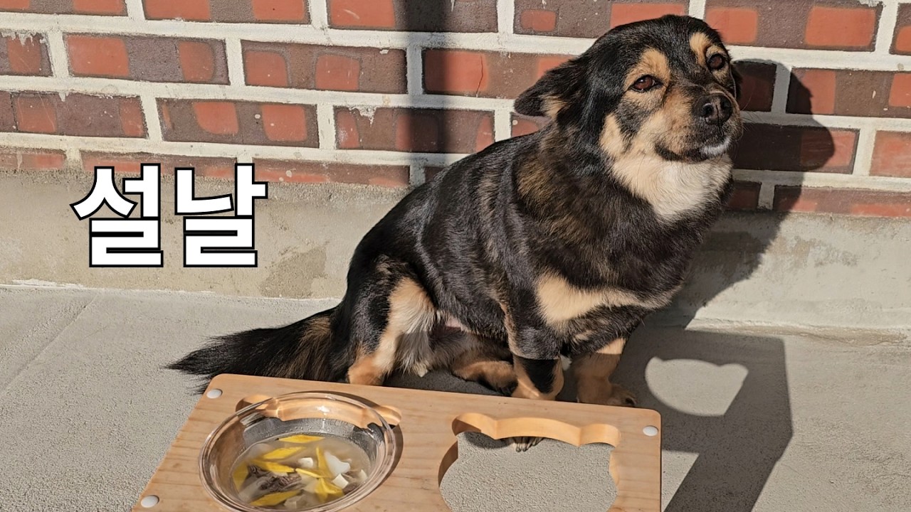 헤헿 너무 즐거워쪄