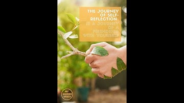 Journey of Self Reflection