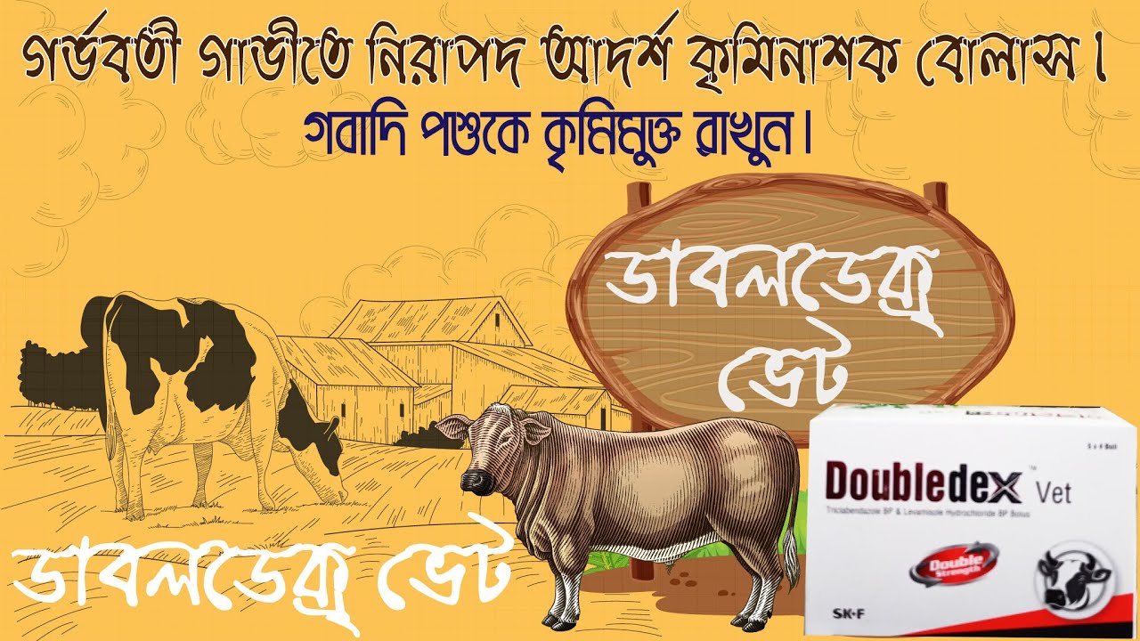 Semiz ayollar bilan jinsiy aloqa