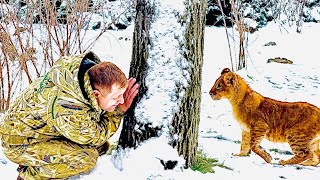 РАДОСТЬ! Олег Зубков играет в прятки со счастливым львенком ШерХаном!