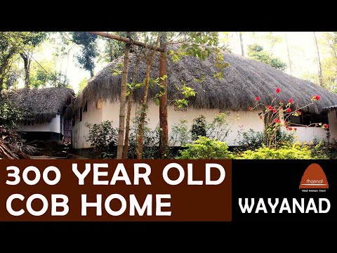 Video: Kur atrodas vecākā vālīšu māja?