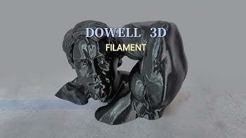 Crafting Lifelike Figures using High-Speed DOWELL3D Black PETG Printer Filament Printing Material!