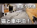 【ハイエース　車中泊】猫と一緒に車中泊！猫に見られながら食べる車中メシ。ffヒーター導入後の確認のため冬の駐車場で過ごしてみました。