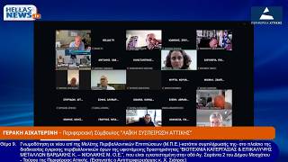 Παρέμβαση της Κ. Γεράκη στο Περιφερειακό Συμβούλιο Αττικής