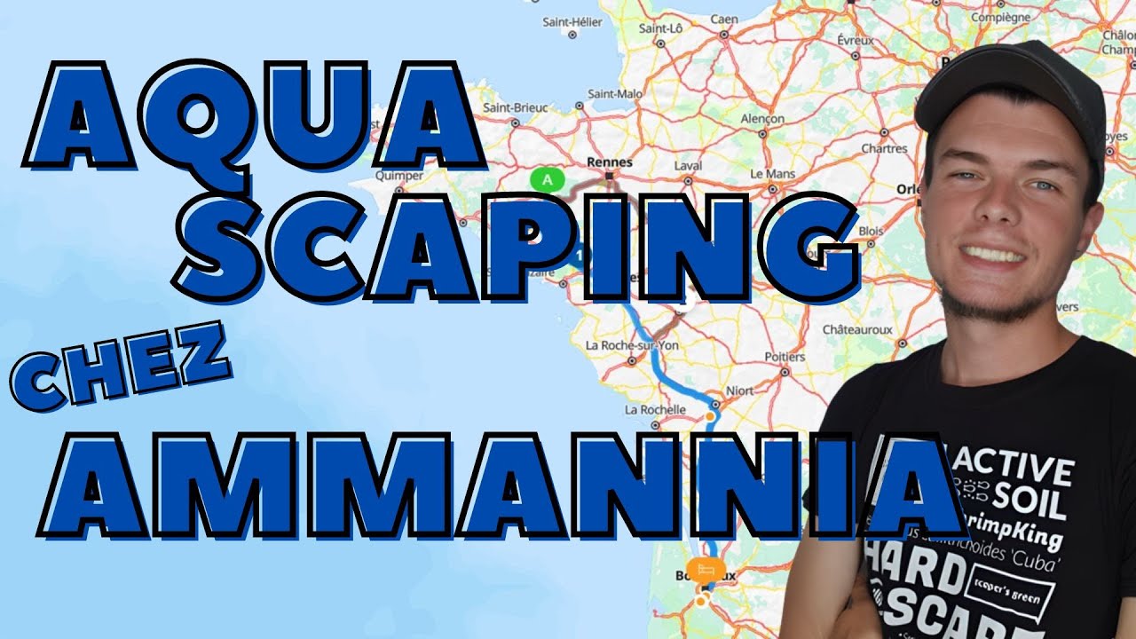 AQUASCAPING   ROADTRIP CHEZ AMMANNIA