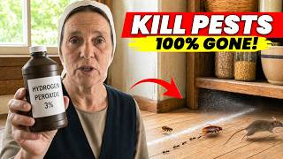 The Old Amish Hydrogen Peroxide Trick That Helps Keep Roaches Ants Fleas Mice More Away