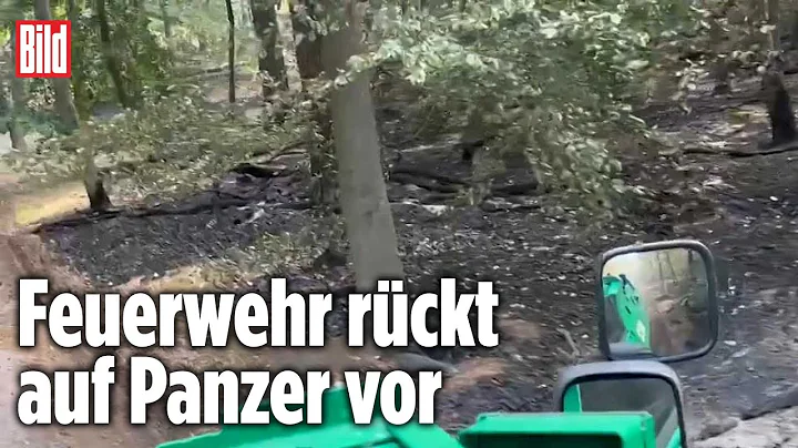 Feuer im Grunewald: Erstes Video aus Berliner Flam...