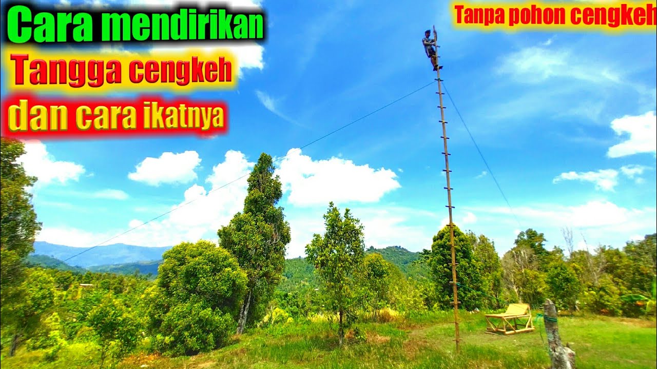 Cara mendirikan tangga cengkeh -dan cara mengikat tangga cengkeh