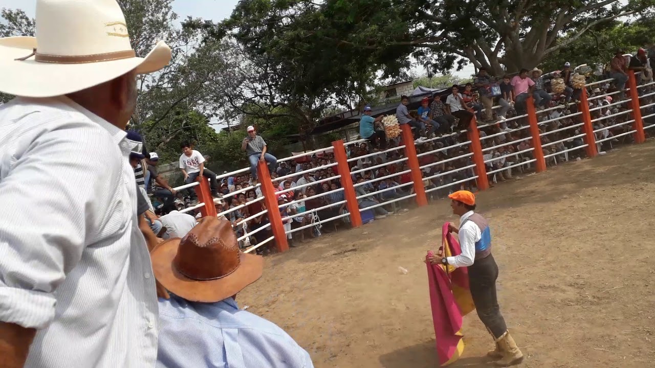 El mochoo toreada santa rita♥️