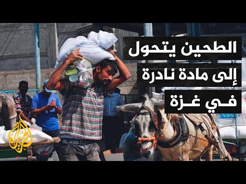 أصوات من غزة| مئات النازحين يصطفون أياما للحصول على كيس دقيق
