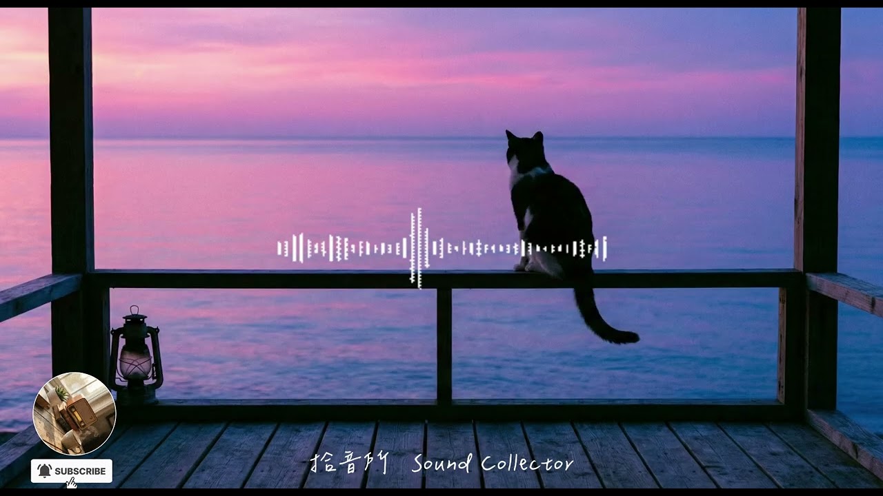 【Sound Collector BGM】療癒放空時光 | Chill Vibes & Relaxing