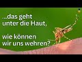 DIY Mücken Blütenduft-Zucker Falle, die Bienen verschont? Mit Anleitung