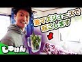 【ドッキリ】寝起きに激マズ山菜スムージーを飲ませた結果…【研究】