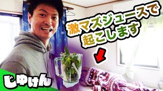 【ドッキリ】寝起きに激マズ山菜スムージーを飲ませた結果…【研究】