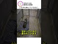この子も待っていたのに…