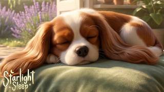 Baby Sleep Music 🐶 Cozy Cavalier Puppy & Garden Breeze (Wind Chime Lullaby) screenshot 5