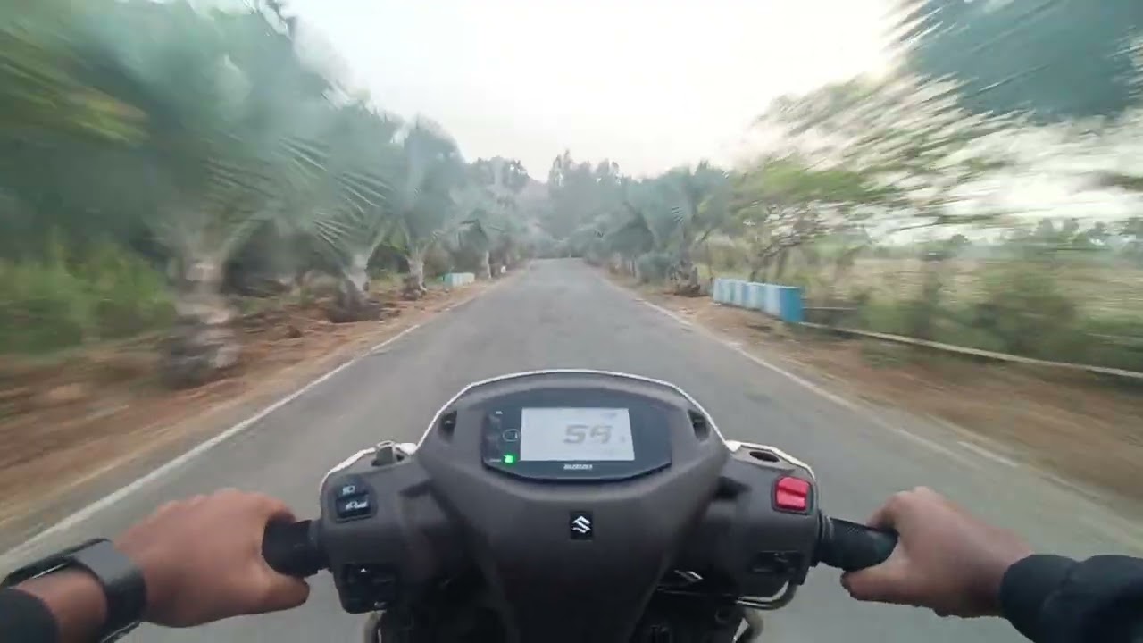 Black tree 🌴🌴🌴