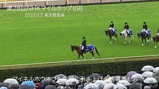 10年前の勝ち馬マイネルホウオウが先導 NHKマイルカップの誘導馬 - YouTube