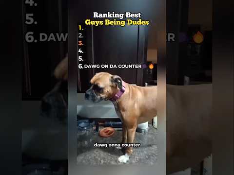 Ranking Guys Being Dudes Videos 😎 #best #funny